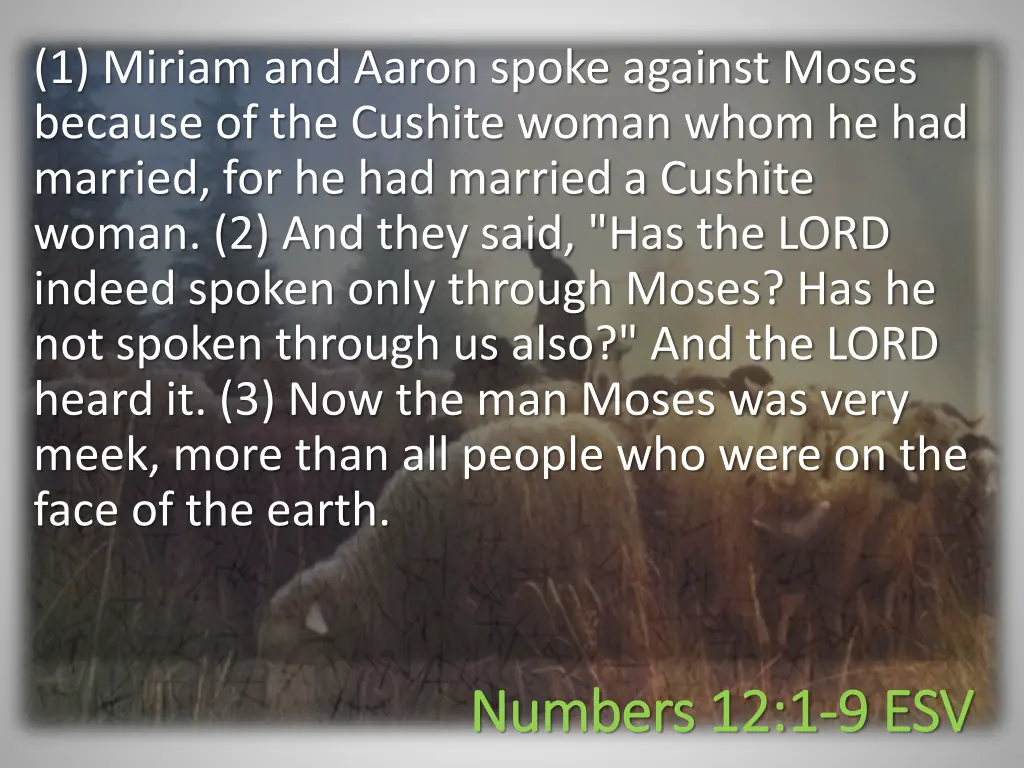 1 miriam and aaron spoke against moses because