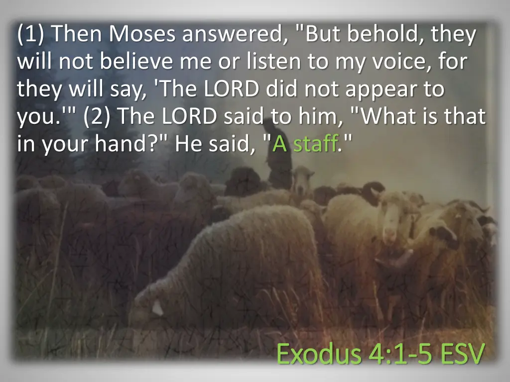 1 then moses answered but behold they will