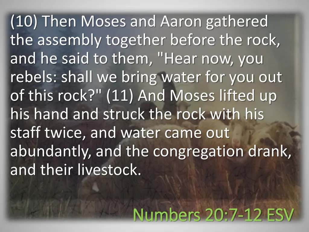 10 then moses and aaron gathered the assembly