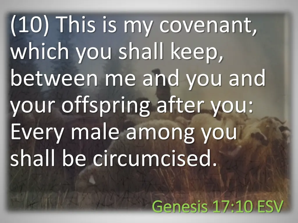 10 this is my covenant which you shall keep