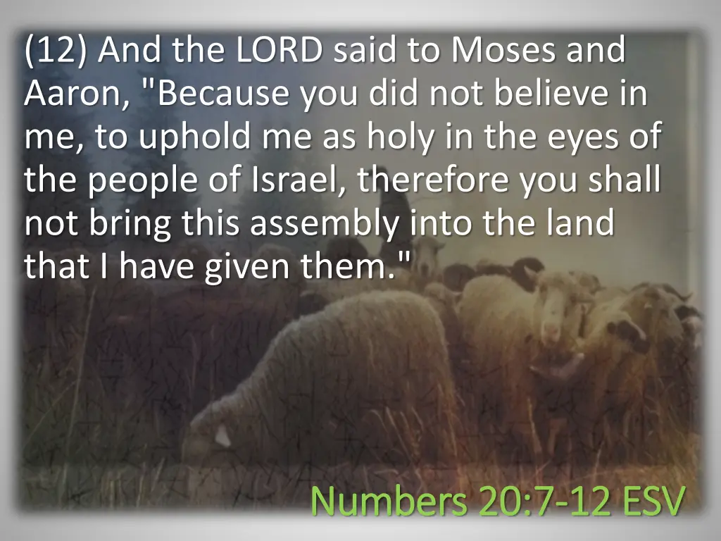 12 and the lord said to moses and aaron because