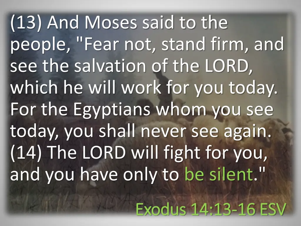 13 and moses said to the people fear not stand