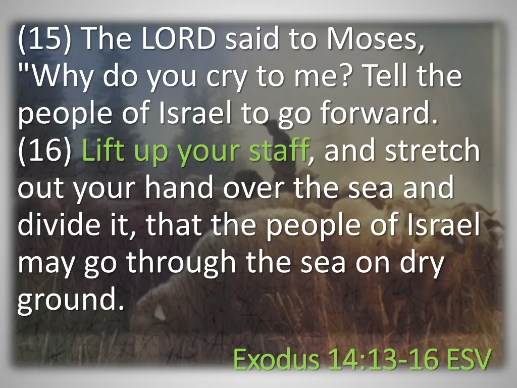 15 the lord said to moses