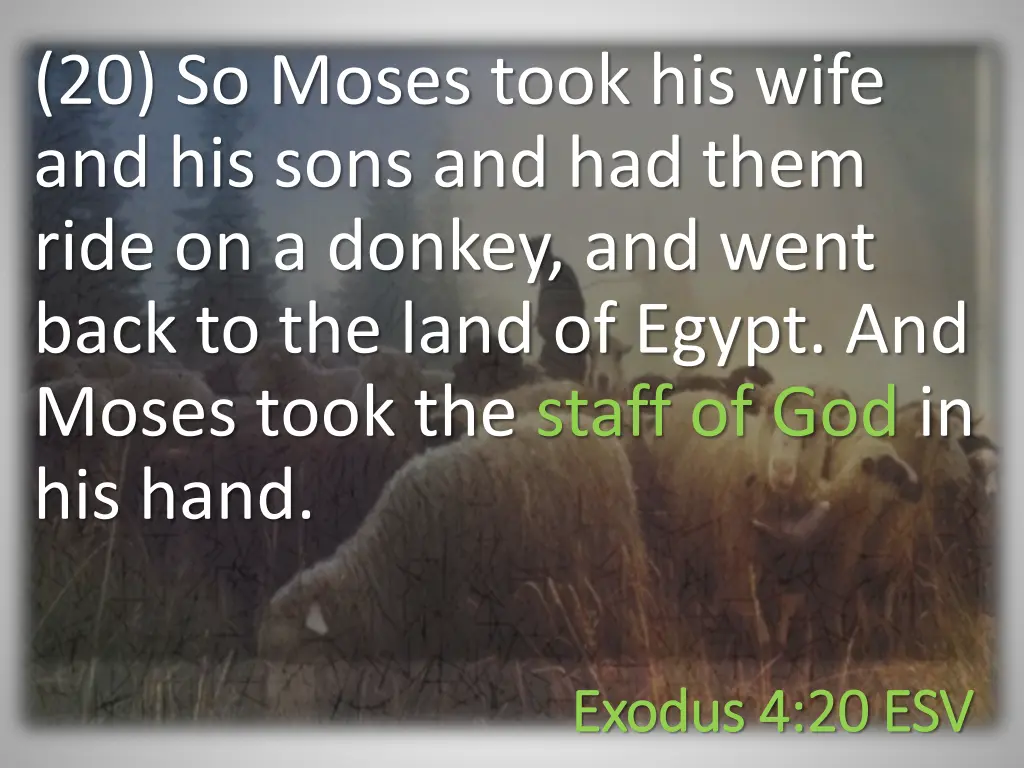 20 so moses took his wife and his sons