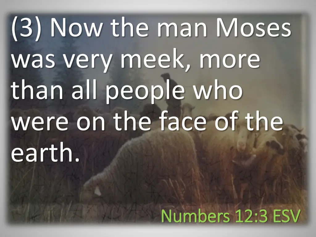 3 now the man moses was very meek more than