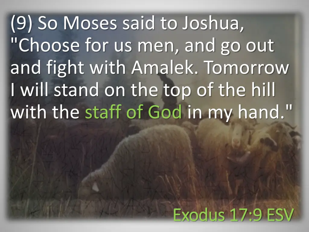 9 so moses said to joshua choose