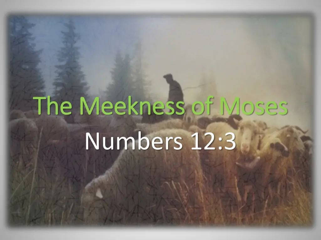 the meekness of moses the meekness of moses 1