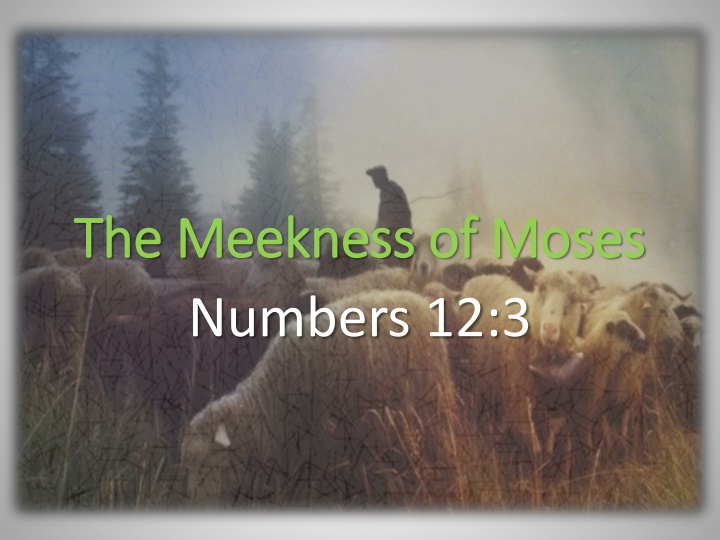 the meekness of moses the meekness of moses