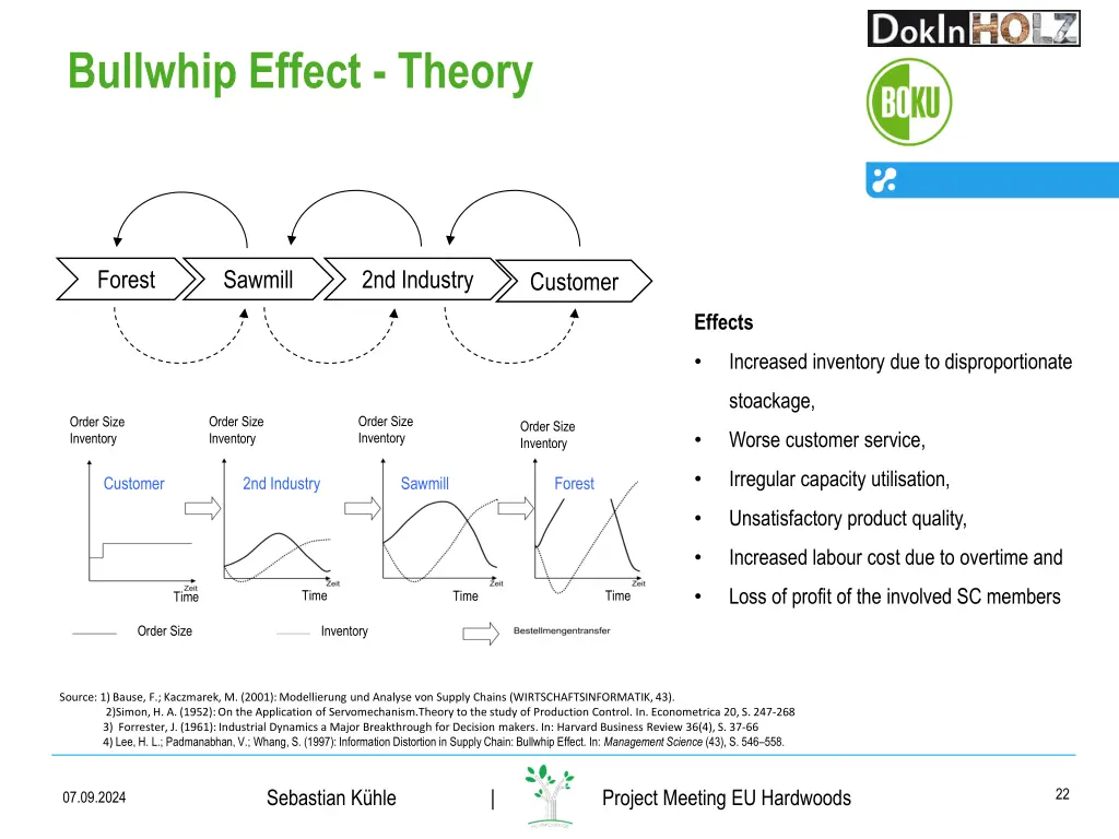 bullwhip effect theory