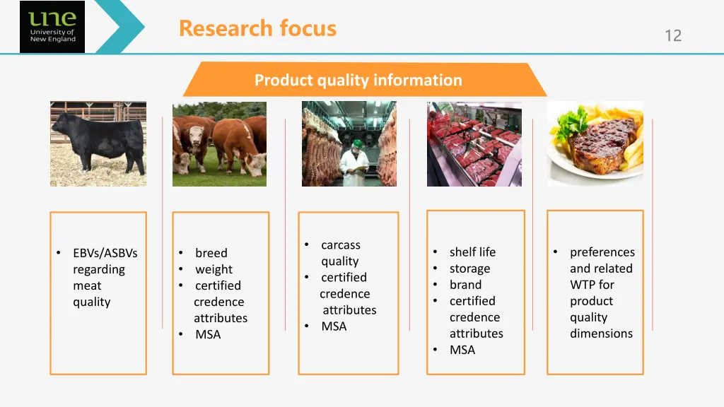 research focus 1