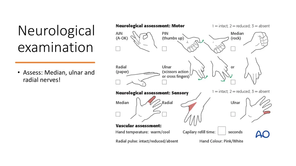 neurological examination