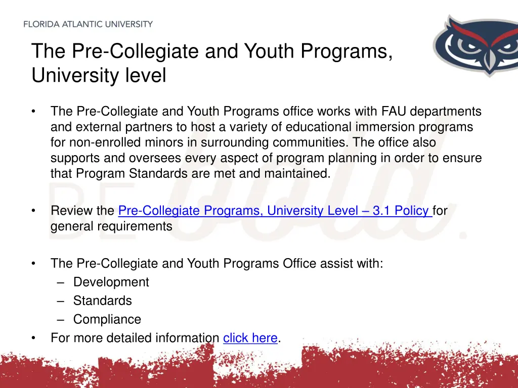 the pre collegiate and youth programs university 1