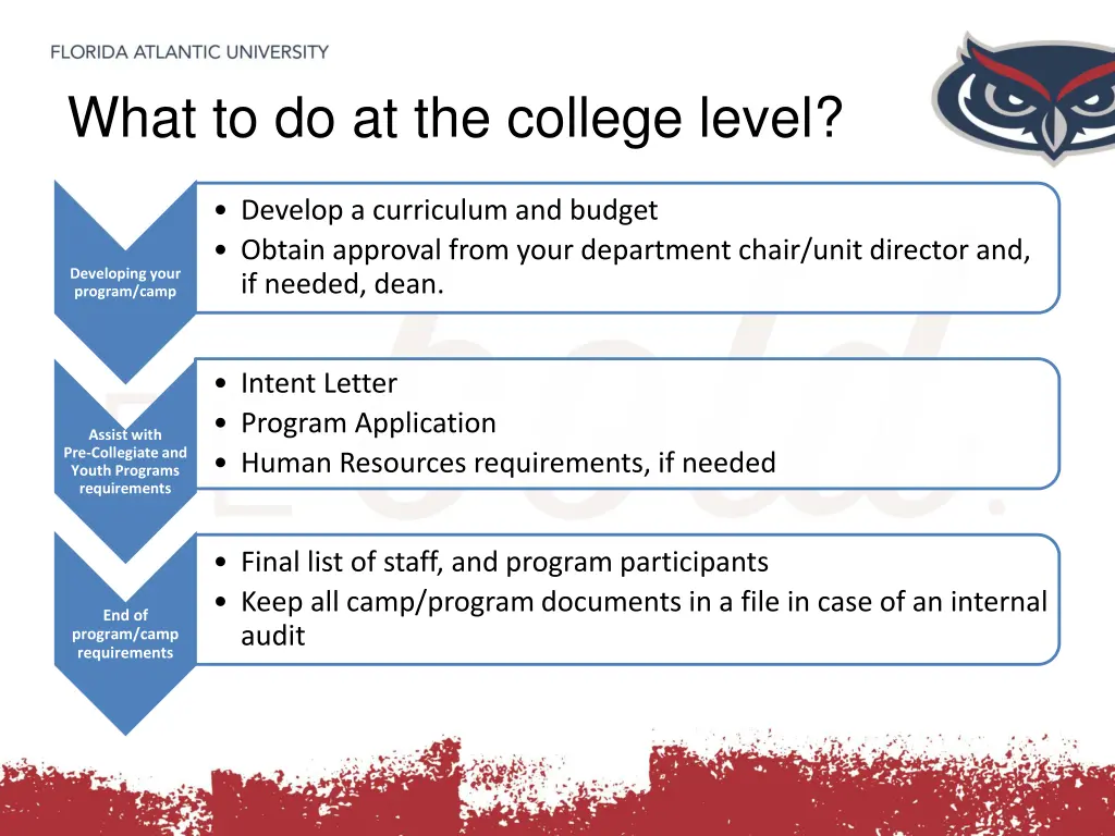 what to do at the college level