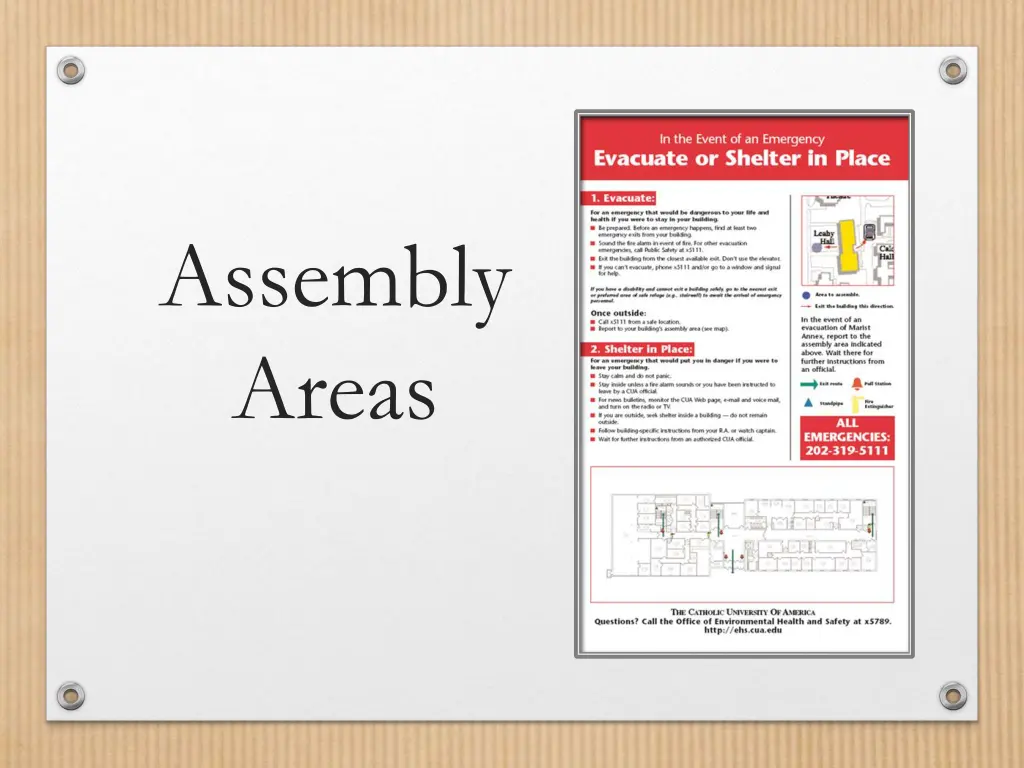 assembly areas