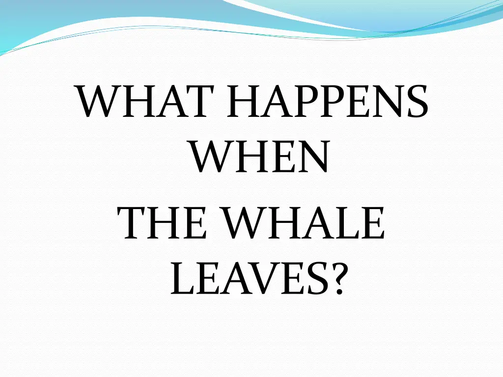 what happens when the whale leaves