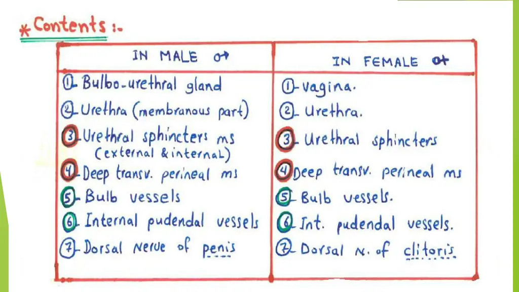 slide17