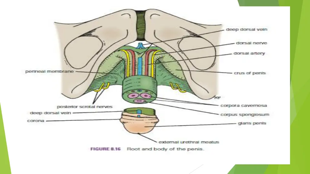 slide22