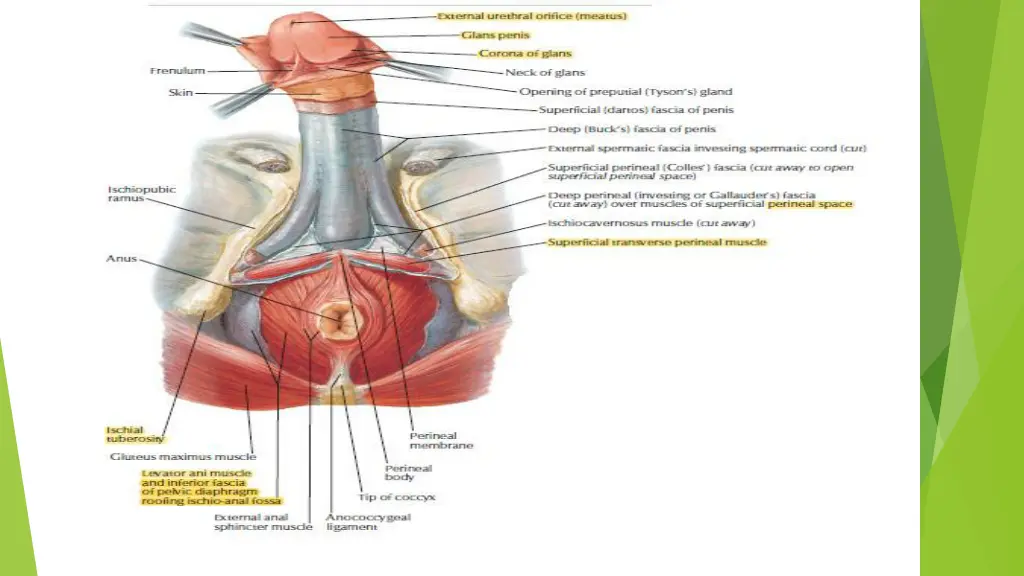 slide23