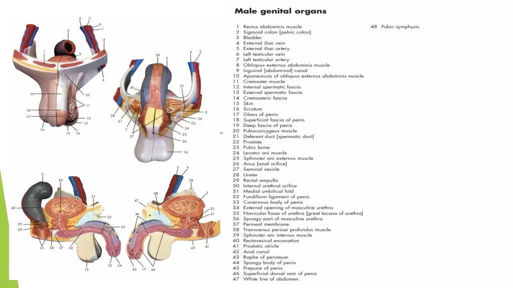 slide29