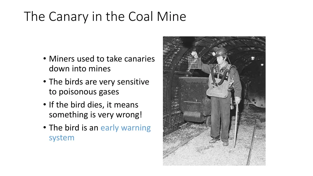 the canary in the coal mine