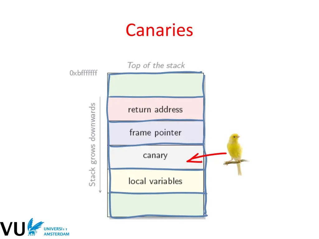 canaries