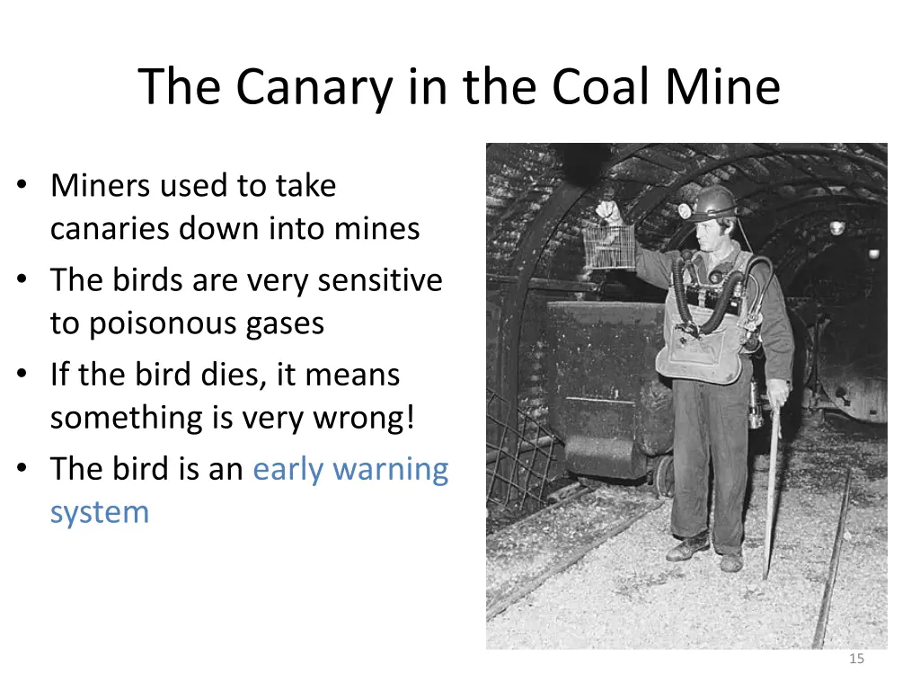 the canary in the coal mine