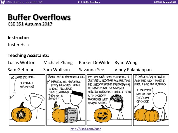 l15 buffer overflows