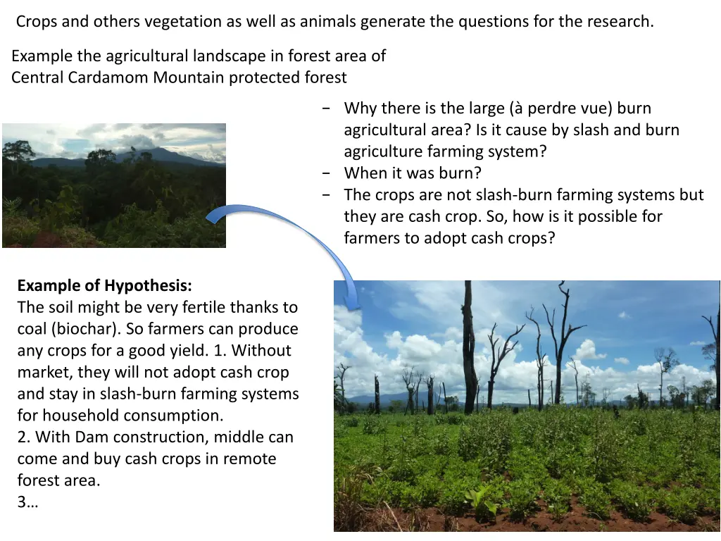 crops and others vegetation as well as animals