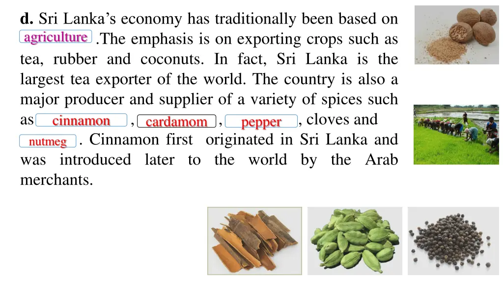 d sri lanka s economy has traditionally been