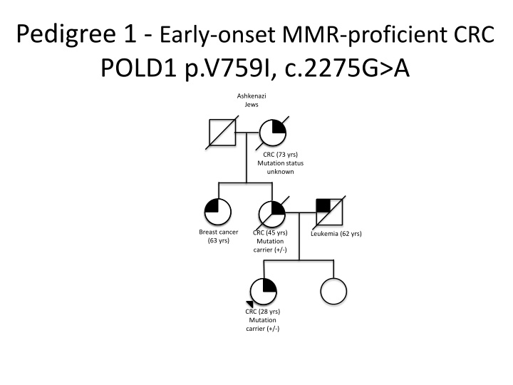 pedigree 1 early onset mmr proficient crc pold1