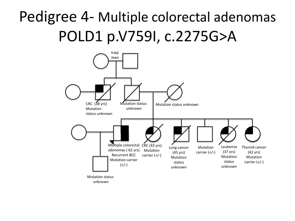 pedigree 4 multiple colorectal adenomas pold1