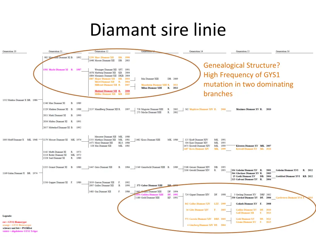 diamant sire linie