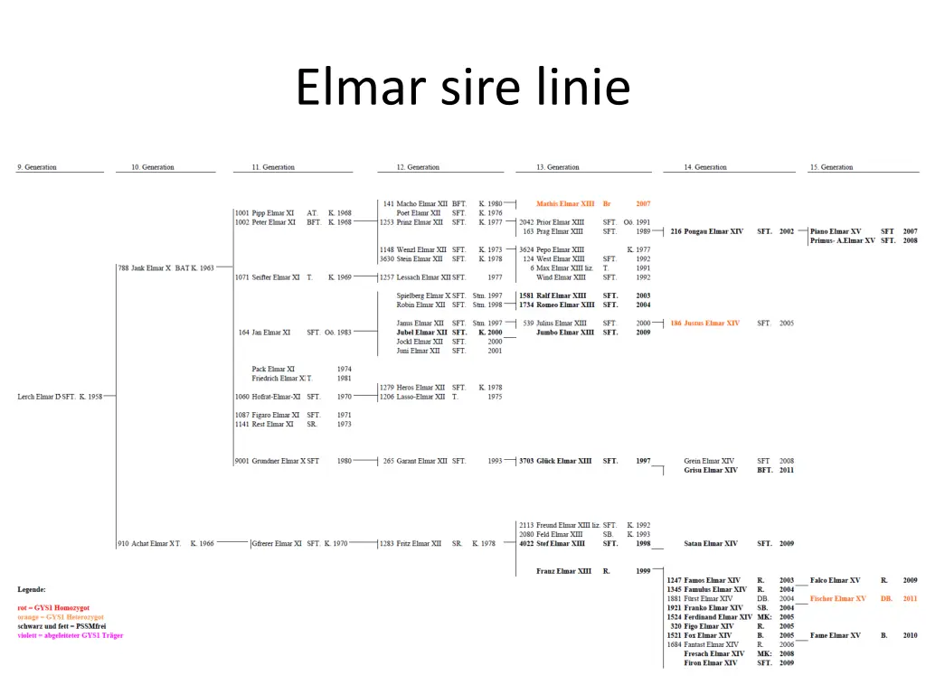 elmar sire linie