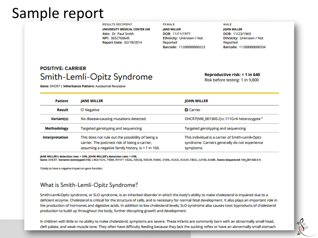 sample report