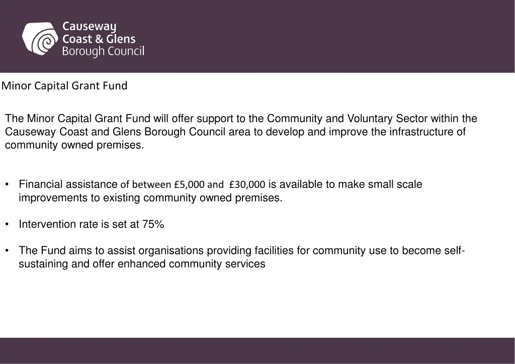 minor capital grant fund