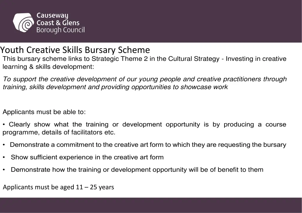 youth creative skills bursary scheme this bursary