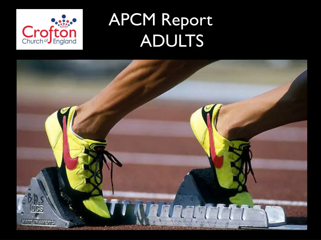 apcm report adults 1