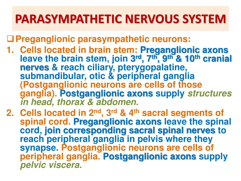 parasympathetic nervous system 2