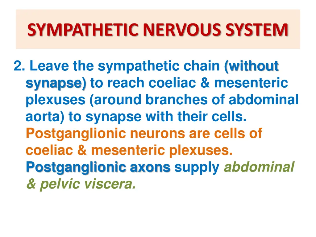 sympathetic nervous system 4