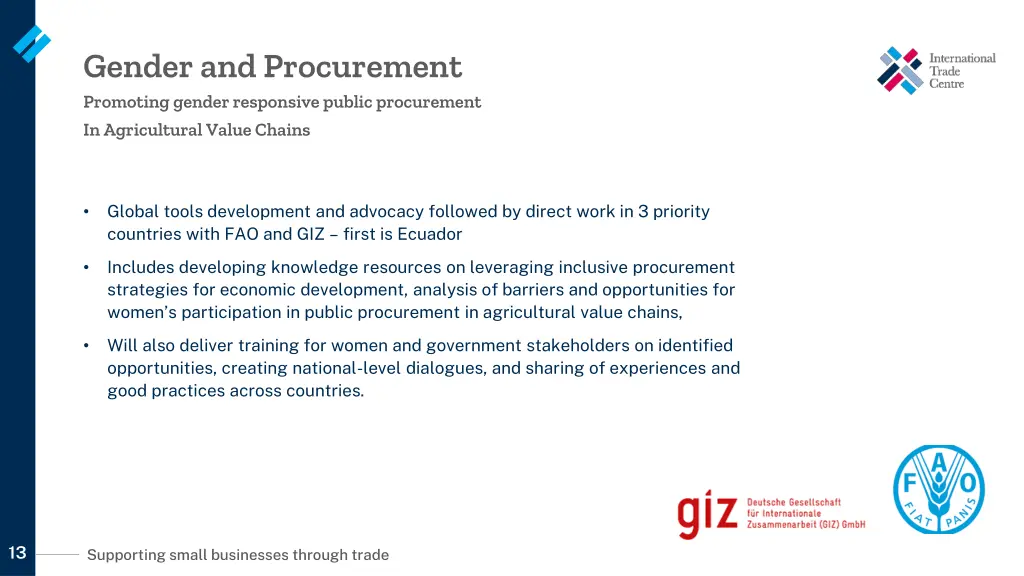 gender and procurement promoting gender