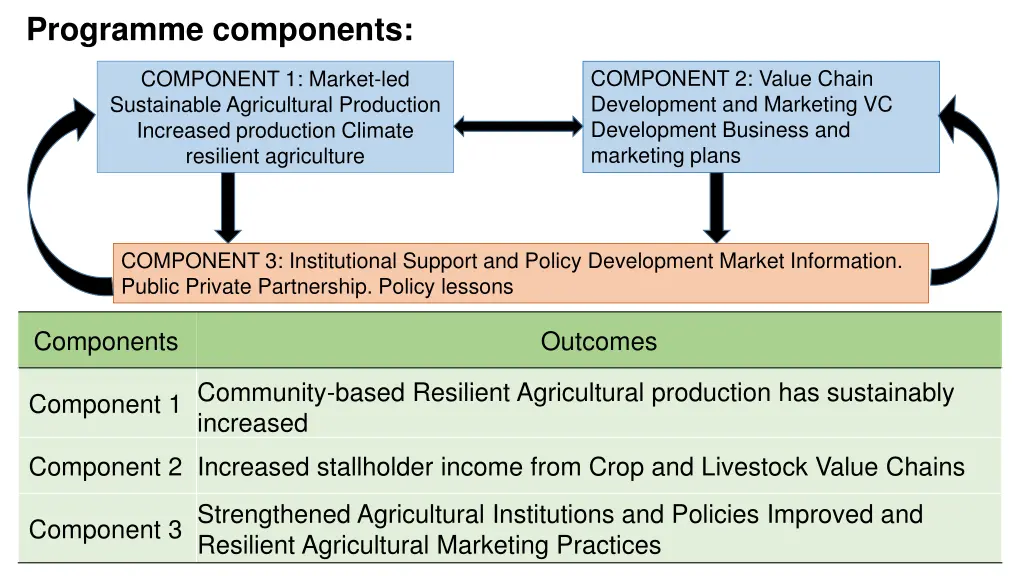 programme components