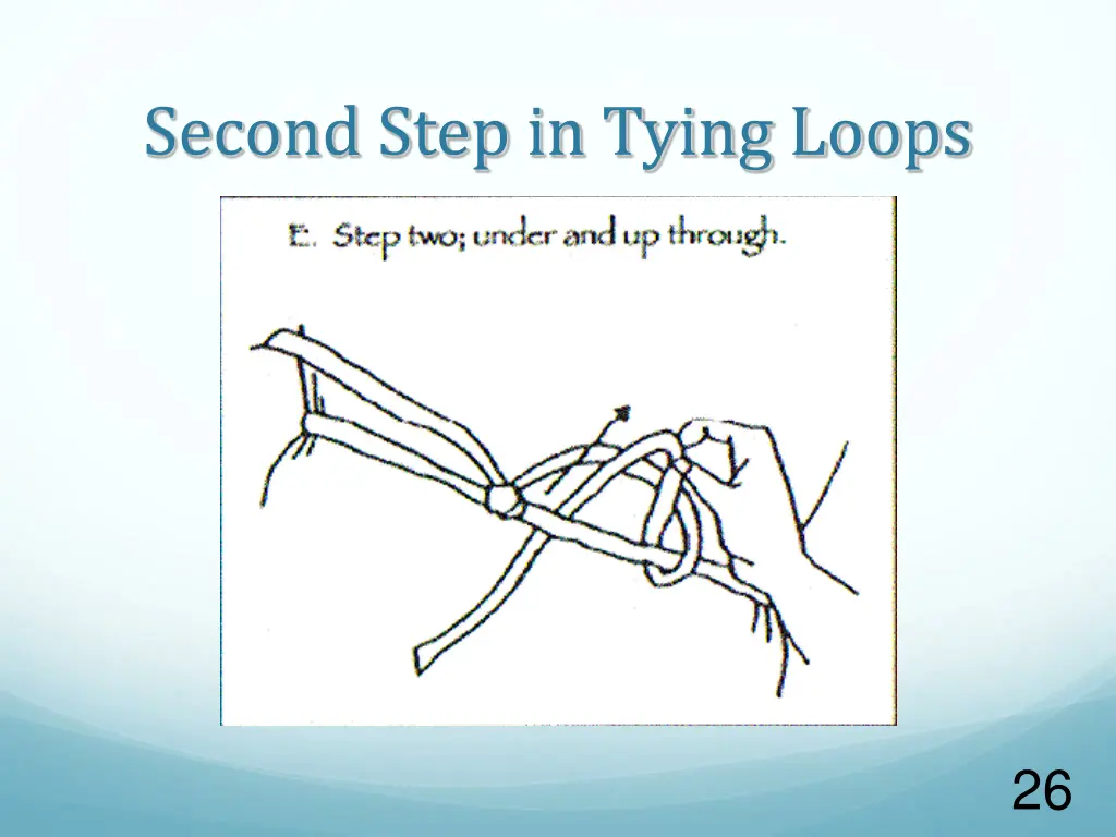 second step in tying loops