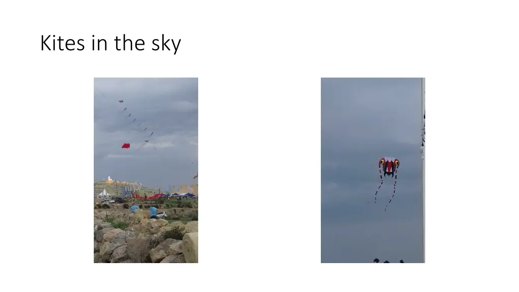 kites in the sky