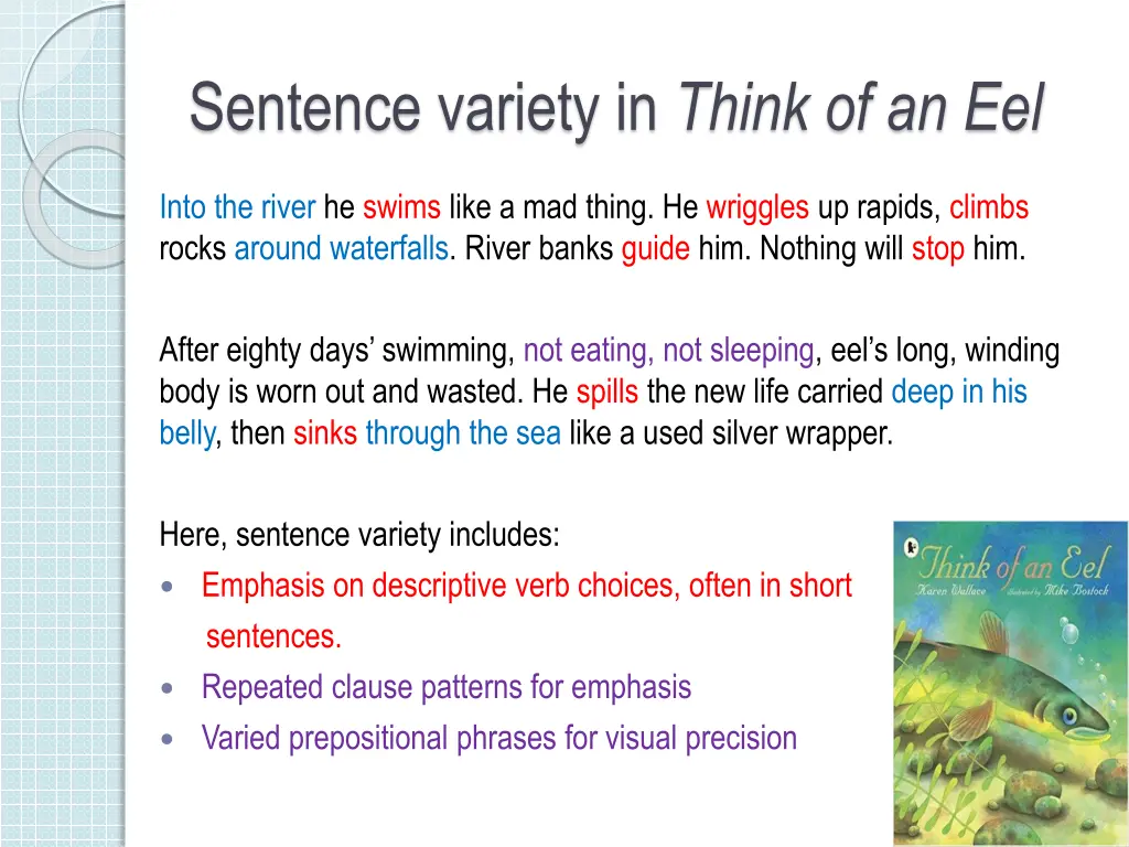 sentence variety in think of an eel