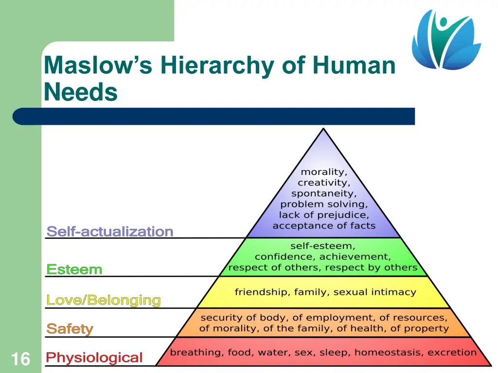 maslow s hierarchy of human needs