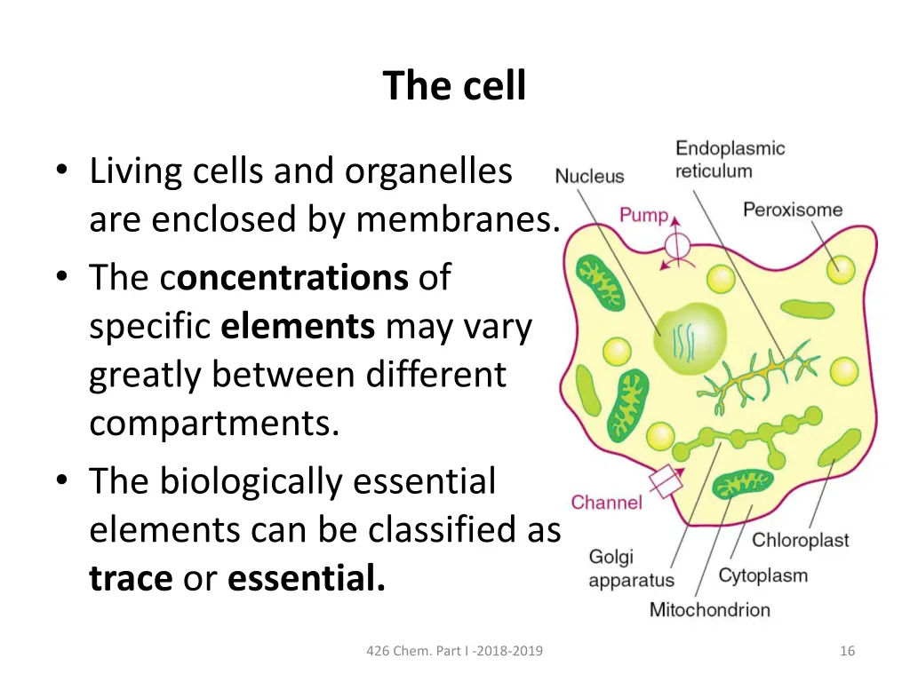 the cell