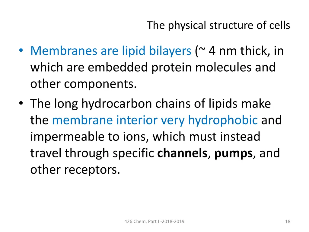 the physical structure of cells 1