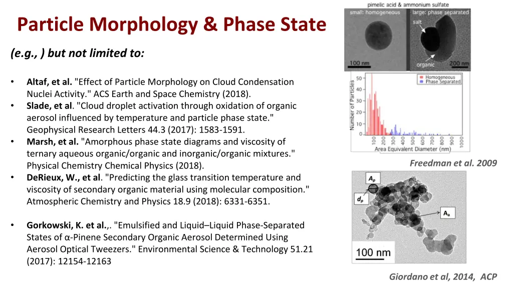 particle morphology phase state