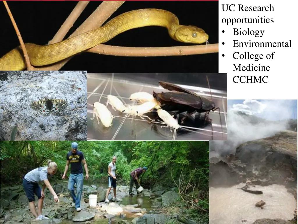 uc research opportunities biology environmental