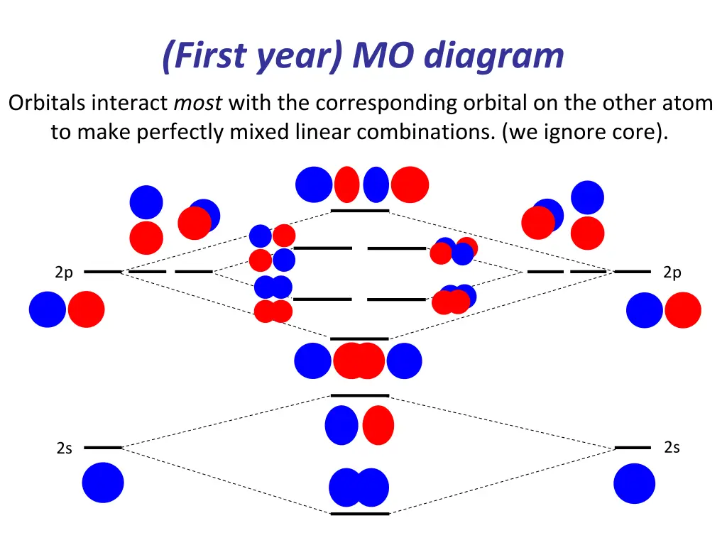 first year mo diagram